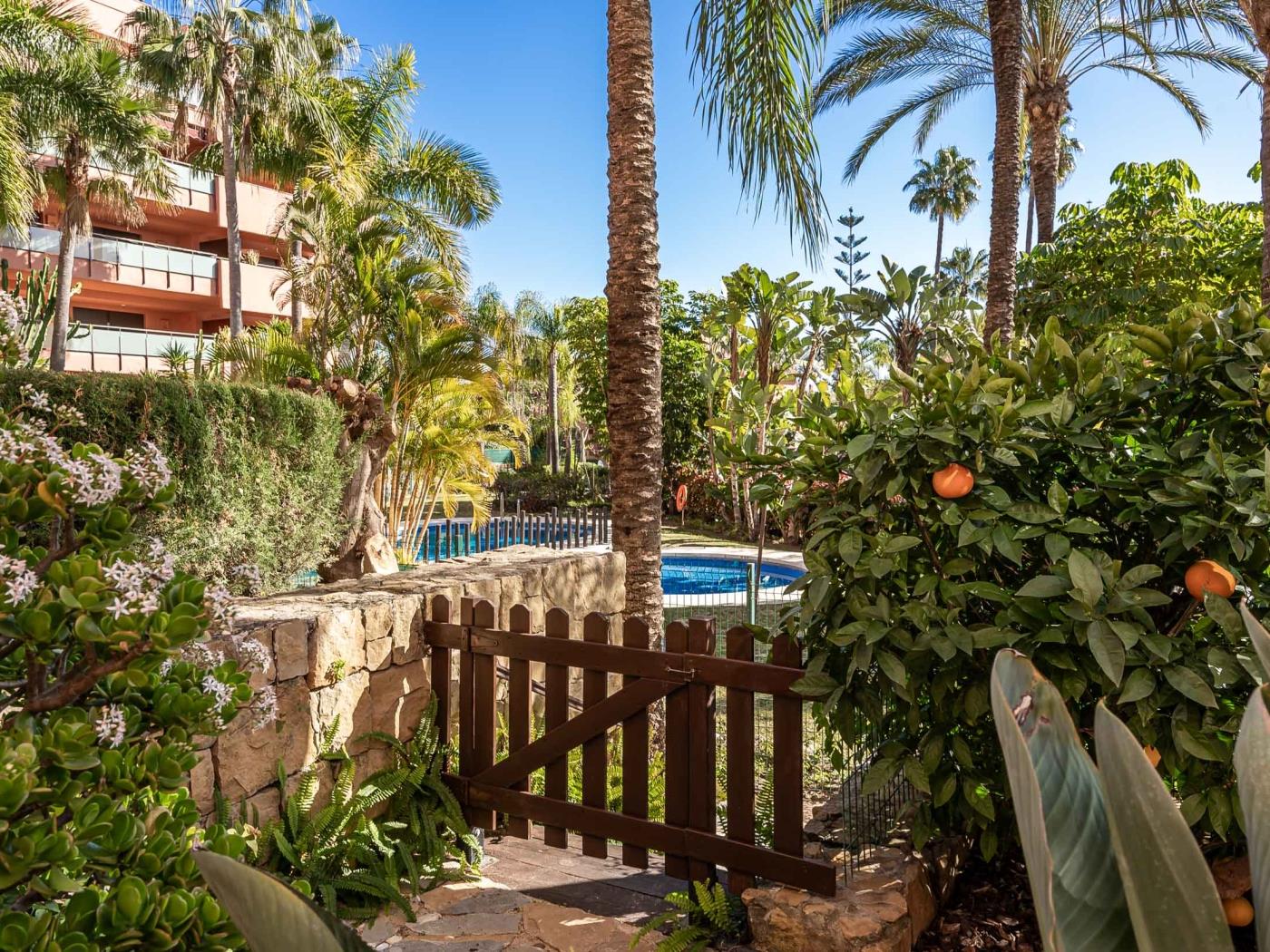 image La Terraza Azahar 16