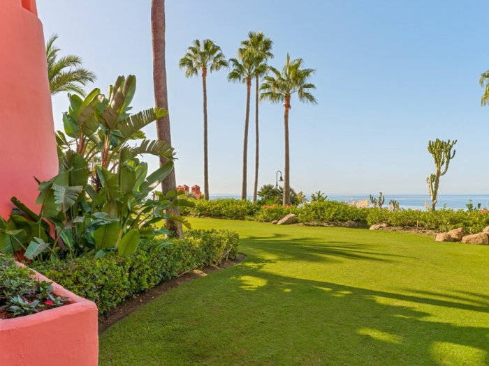 image The Beachfront Pearl 15