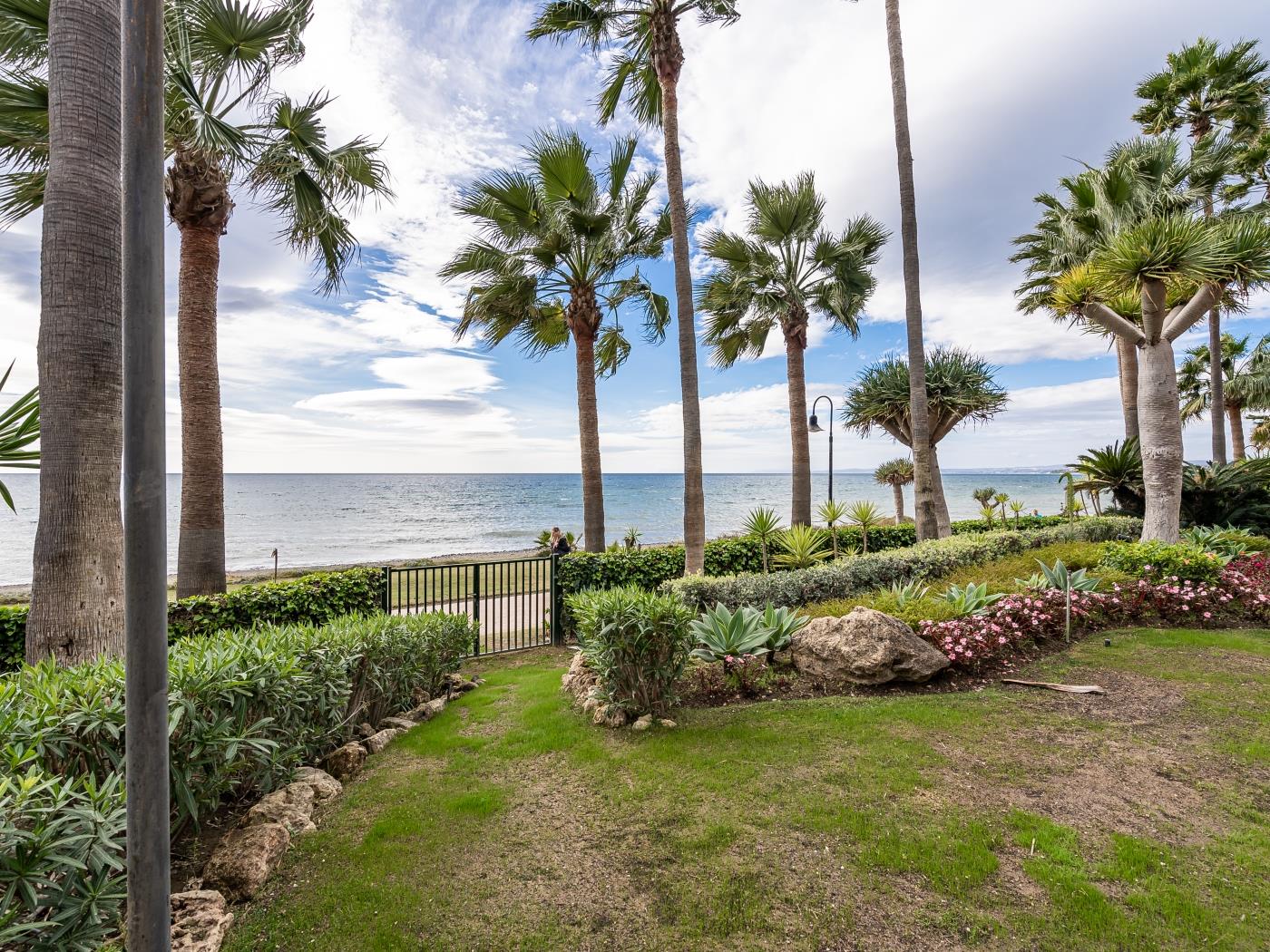 image Beachfront Serenity 19